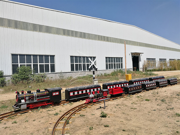 Simulated Steam Track Train Ride